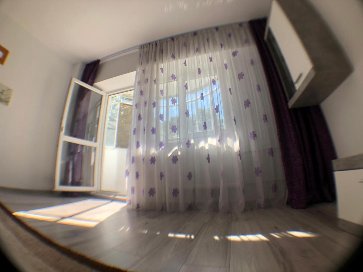 Le Garcon De Cristina-Simple,Quiet,Spacious Studio Boekarest Buitenkant foto