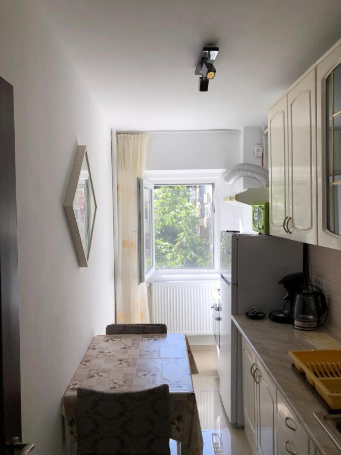 Le Garcon De Cristina-Simple,Quiet,Spacious Studio Boekarest Buitenkant foto